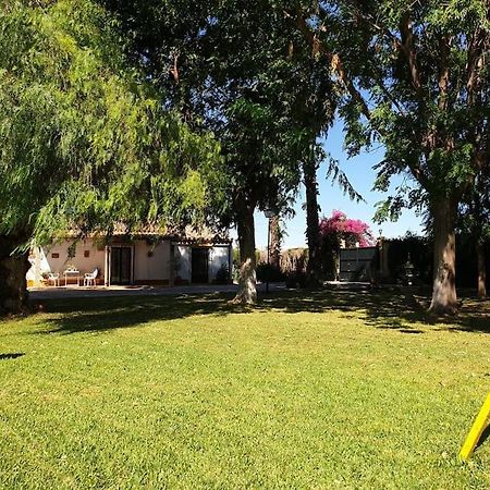 Finca El Romero, Finca A 15 Minutos De Sevilla 阿卡拉尔里奥 外观 照片