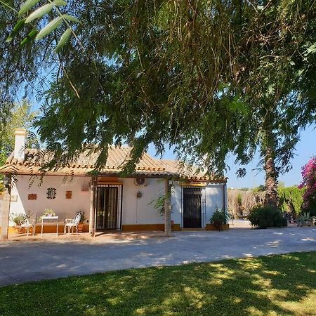 Finca El Romero, Finca A 15 Minutos De Sevilla 阿卡拉尔里奥 外观 照片