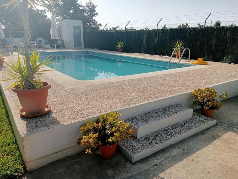 Finca El Romero, Finca A 15 Minutos De Sevilla 阿卡拉尔里奥 外观 照片